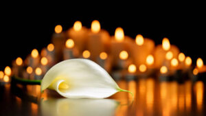 Guido De Castro Car Accident Death-Obituary